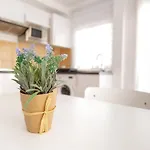 Appartement Casa Nadia *